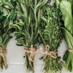 আপনি সতেজ এবং রোগমুক্ত থাকতে চাইলে সকালে খালি পেটে চিবিয়ে খান এই ৫ টি পাতা