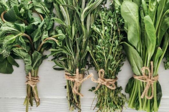 If you want to stay fresh and disease-free, chew these 5 leaves on an empty stomach in the morning.