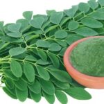 সজিনা পাতার পাউডার কি সজিনা পাতা এবং ডাঁটার মতোই কার্যকর? জানুন