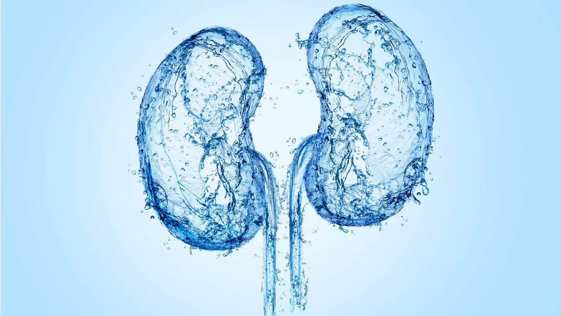 Take 3 detox drinks to take care your Kidneys