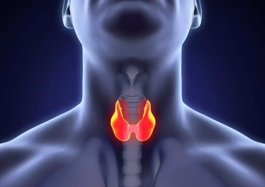 জানুন এমন কিছু খাবারের কথা যা আপনার থাইরয়েডের কার্যকারিতা ব্যাহত করতে পারে এবং স্বাস্থ্যগত জটিলতা বাড়াতে পারে