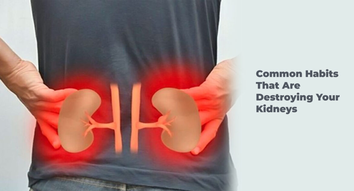 Some common habits are damaging our kidneys, says doctor
