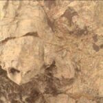 মঙ্গলে পাওয়া গেল কচ্ছপের আকৃতির পাথর, নাসার পার্সিভারেন্স রোভারের সবচেয়ে বড় আবিষ্কার