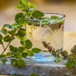 তুলসী জলের উপকারিতা: সকালে খালি পেটে তুলসী জল পান করলে এই ৫টি অমৃতের মতো স্বাস্থ্য উপকারিতা পাওয়া যায়!