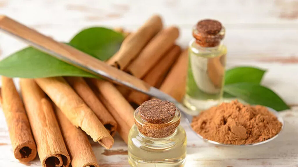 প্রতিদিন সকালে পান করুন দারুচিনির জল, পান করার ৭টি শক্তিশালী স্বাস্থ্য উপকারিতা