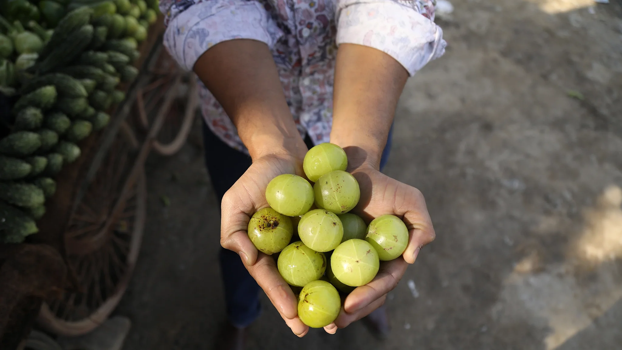 আপনার প্রতিদিনের খাদ্যতালিকায় রাখুন আমলকী, পান ৫ স্বাস্থ্য উপকারিতা যা আপনি উপেক্ষা করতে পারবেন না