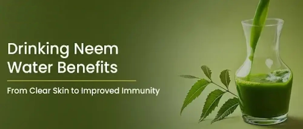 Boil sweet neem leaves in water in the morning to lose weight and control cholesterol.