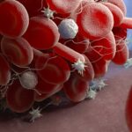 শরীরে কতটি প্লেটলেট থাকা উচিত এবং কোন কোন বিষয়ে আপনার মনোযোগ দেওয়া উচিত? জেনে নিন