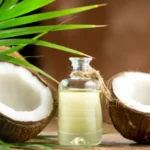 উজ্জ্বল ত্বকের জন্য নারকেল তেল নাকি ক্যাস্টর অয়েল? দুটির মধ্যে কোনটি সবচেয়ে ভালো? তেলের উপকারিতা জেনে নিন..