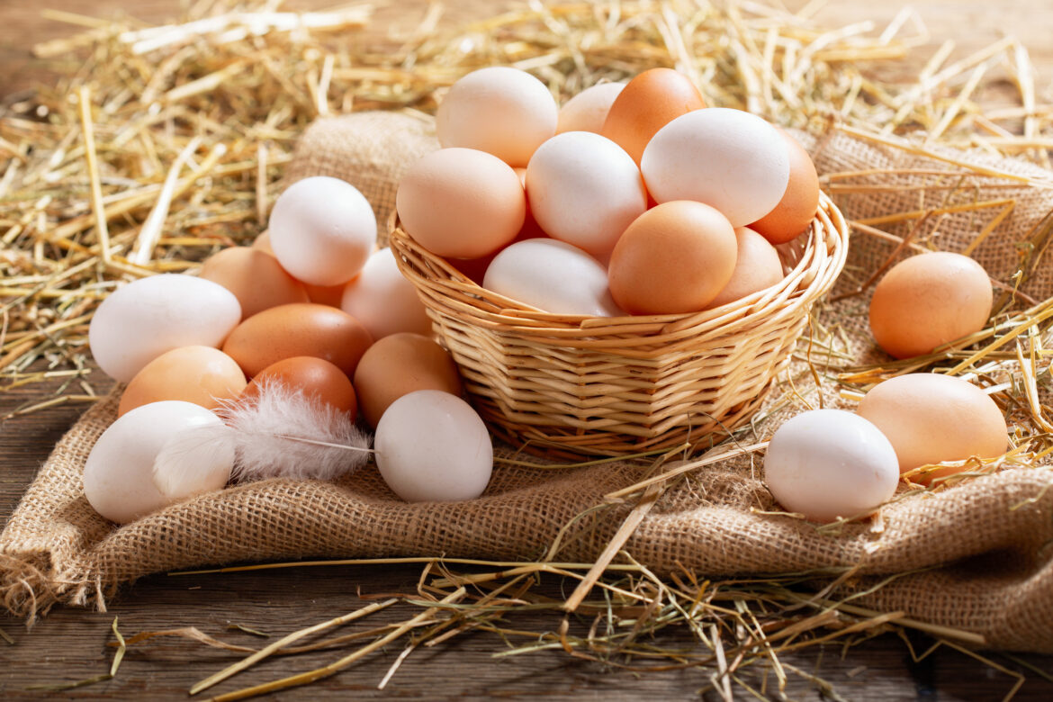 Are eggs vegetarian? Learn 7 big myths about this winter superfood