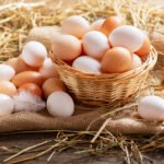 ডিম কি নিরামিষ? এই শীতকালীন সুপারফুড সম্পর্কে ৭টি বড় মিথ জানুন