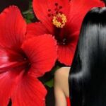 এই ফুলই আপনার সাদা চুলকে গোড়া থেকে আগা পর্যন্ত কালো করে তুলবে, শুধু দইয়ের সাথে মিশিয়ে একবার লাগান..