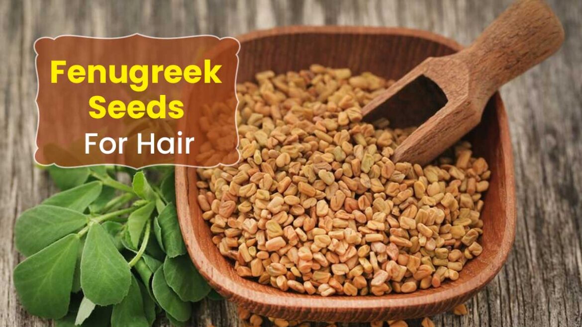 From hair growth to dandruff removal... fenugreek will do it all, use it like this.