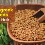 চুলের বৃদ্ধি থেকে খুশকি দূরকরা পর্যন্ত… মেথিই সব করবে, এভাবে ব্যবহার করুন।