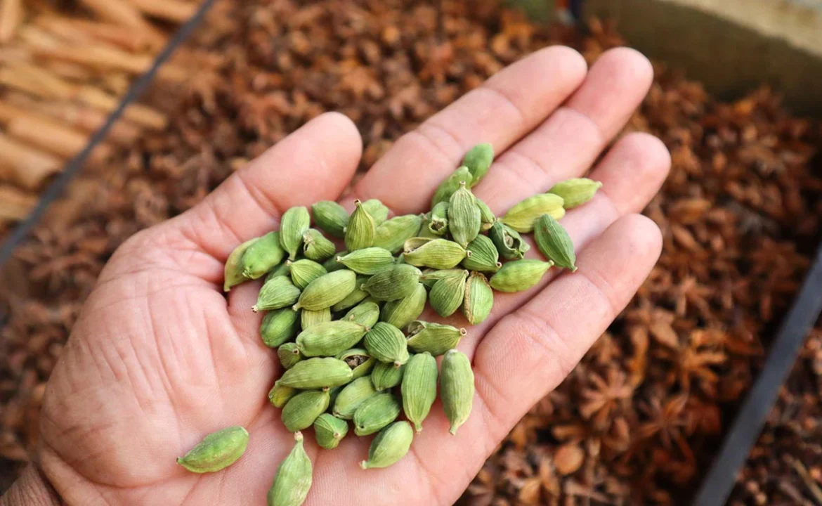 Chewing cardamom after meals will bring amazing health benefits! Find out