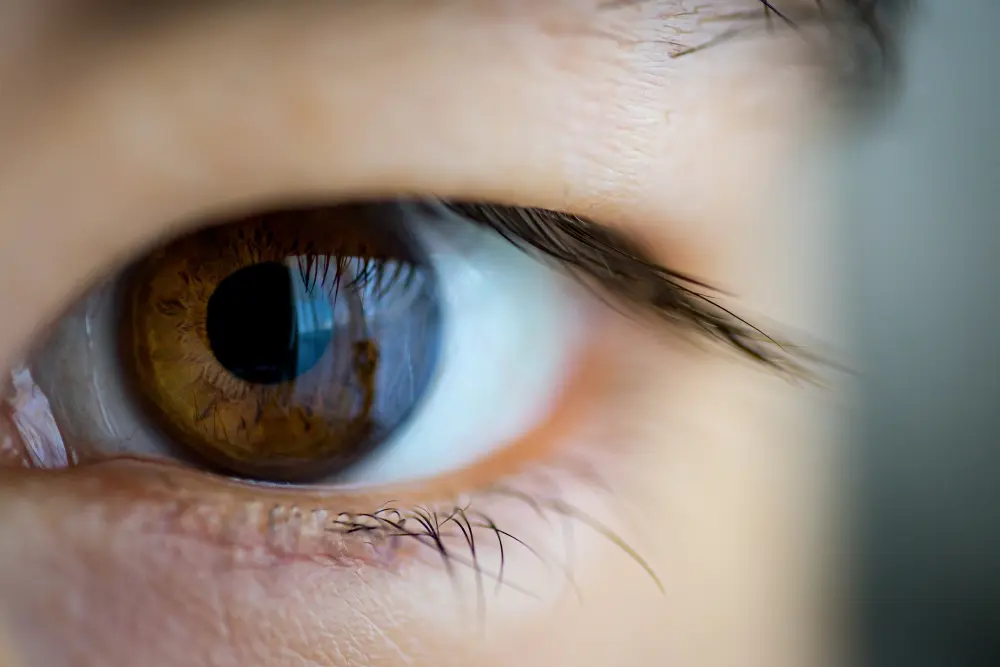 Try these daily habits to keep your eyes healthy and protect yourself from eye allergies.