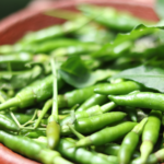 সবুজ মরিচ শরীরের জন্য খুবই উপকারী, জেনে নিন মরিচের উপকারিতা