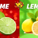 লাইম(কাগজি লেবু) এবং লেমন(পাতি লেবু) থেকে কি শ্রেষ্ঠ? ৯০ শতাংশ মানুষ এই দুটির পার্থক্য সম্পর্কে অবগত নন।