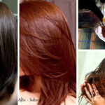 চুল পাকার সমস্যা থেকে মুক্তি পাবেন তরুণরা, বিউটি পার্লারে না গিয়ে ঘরেই তৈরি করুন কালো চুলের রঙ।