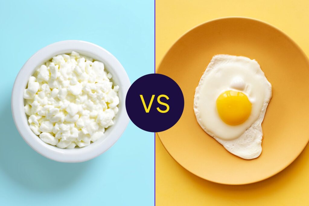 ডিম না পনির… উচ্চ প্রোটিন যুক্ত খাবারের জন্য কোনটি ভালো? জেনে নিন।