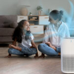 ৫টি জিনিস যা বায়ু পরিশোধকের প্রয়োজনীয়তা পূরণ করে, দূষিত বাতাসেও নিরাপদ থাকুন