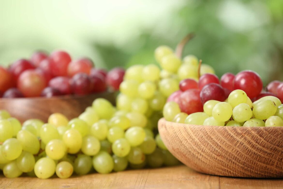 Find out here which grapes have more antioxidants, green or red.