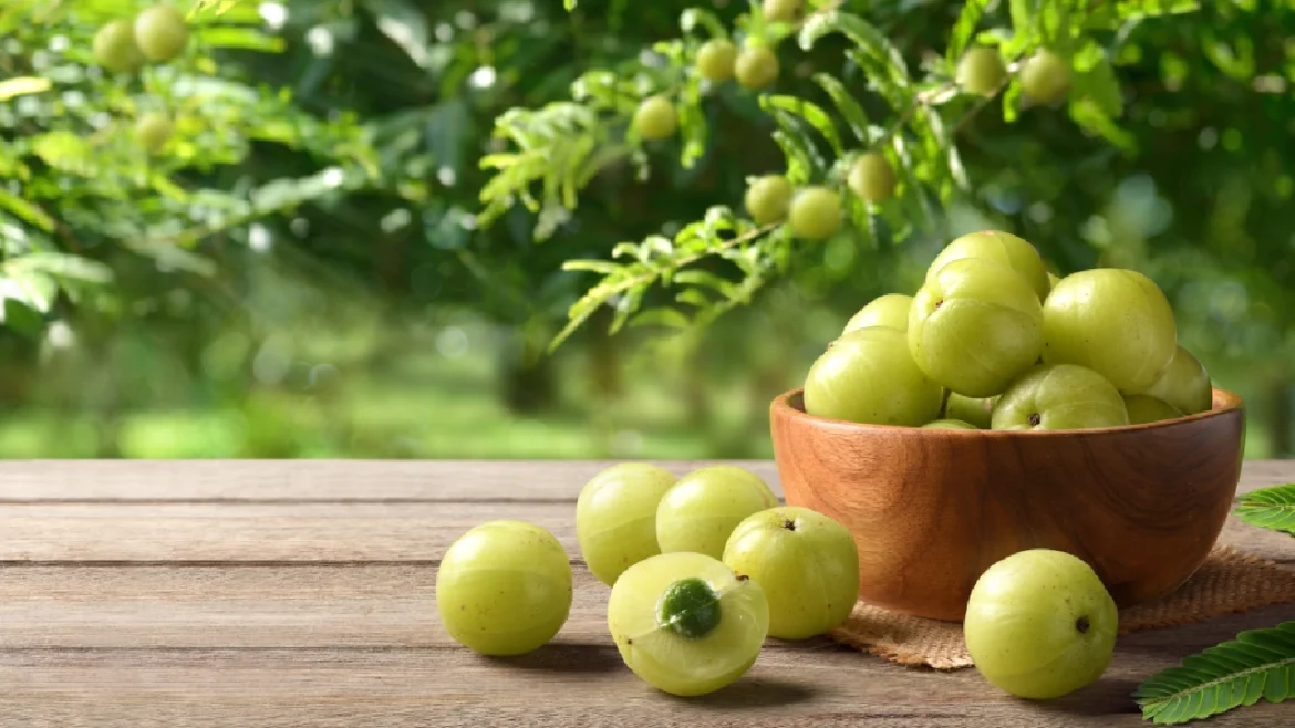 Amla, the winter superfood fruit. Is it better to chew it or drink its juice? Find out from an expert.