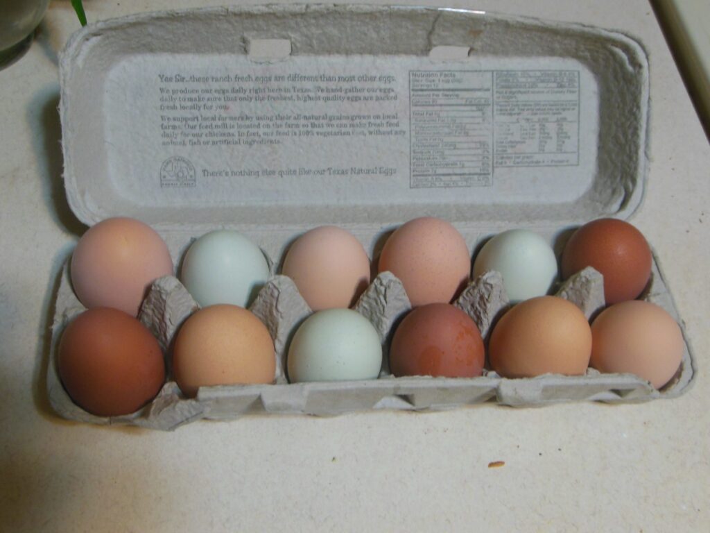 শিশু, বয়স্ক, অথবা জিমে যাওয়া ব্যক্তিদের… দিনে কত ডিম খাওয়া উচিত? বিশেষজ্ঞরা এর সীমা প্রকাশ করেছেন।