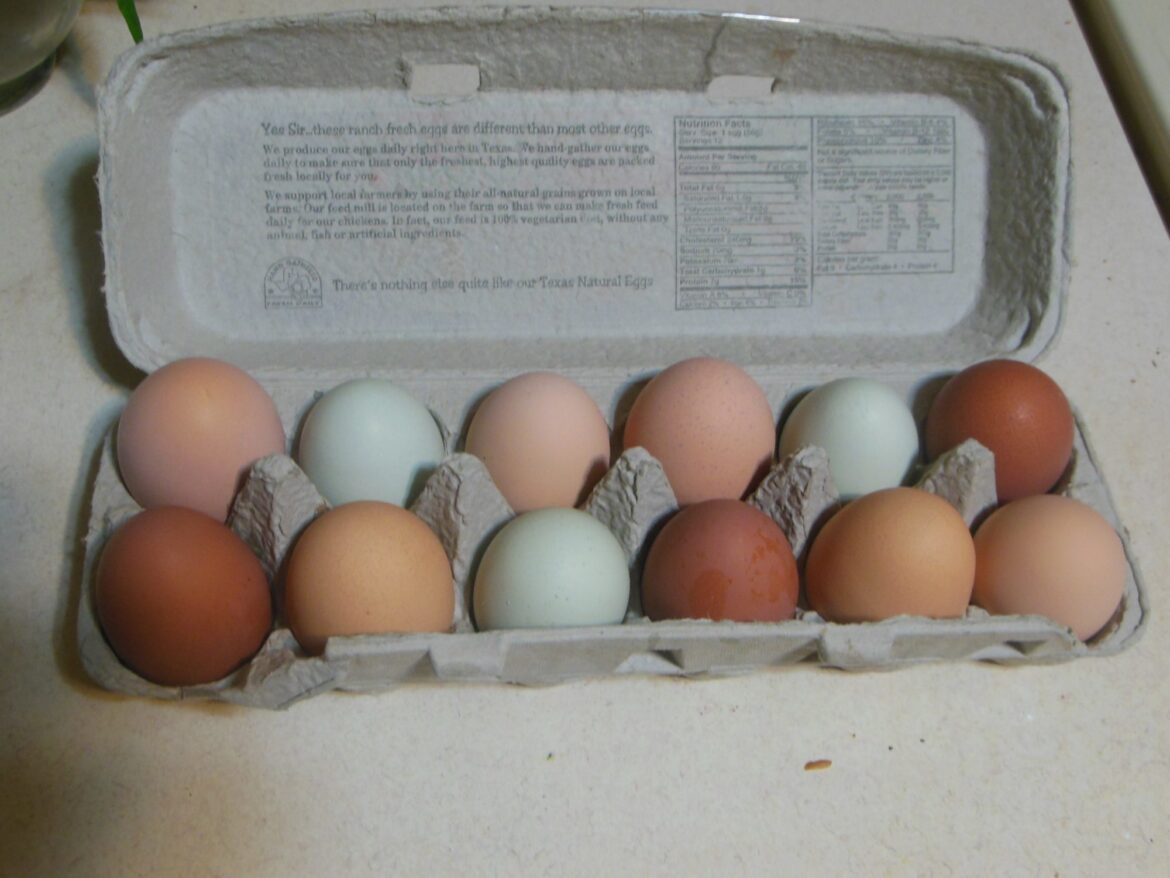 Experts reveal the limit on how many eggs you should eat a day