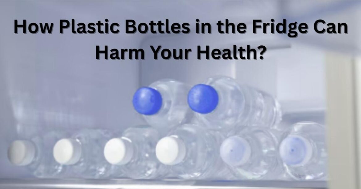Find out how plastic bottles are harming your health