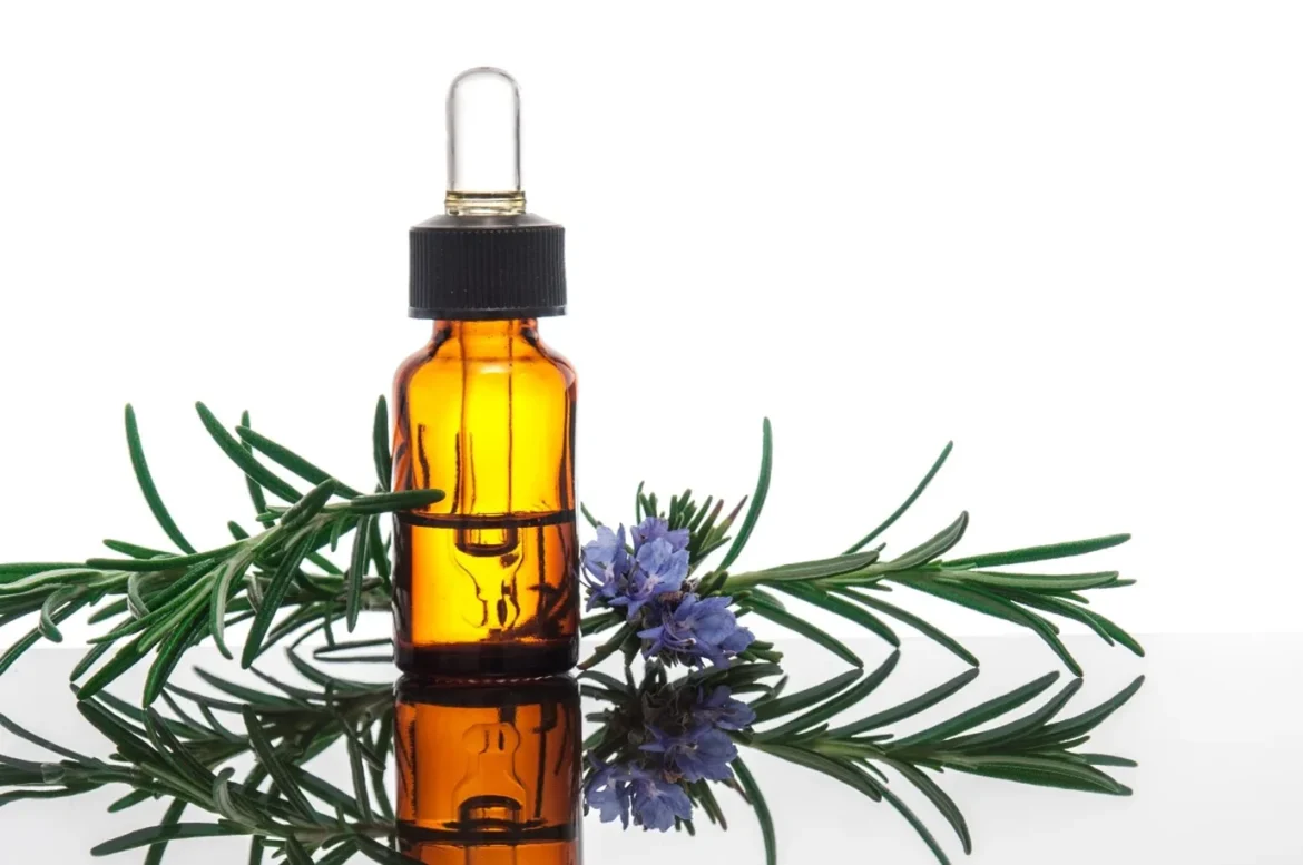 Learn about the benefits of rosemary oil if you suffer from hair loss and dandruff.