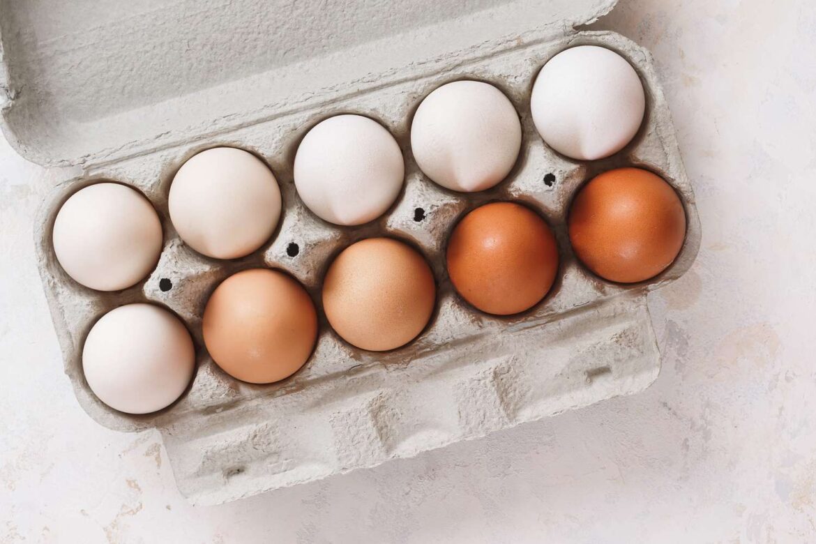 Find out if brown eggs are actually stronger than white eggs