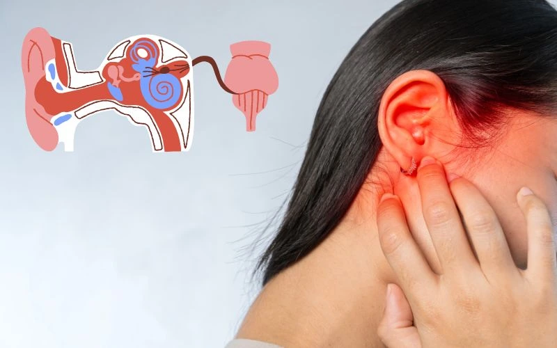 Find out from a doctor why your ears hurt, its symptoms and remedies.