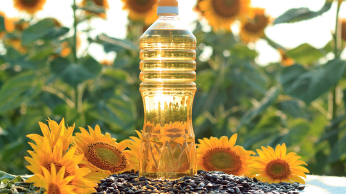 Find out why people are choosing sunflower oil for cooking