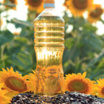 রান্নার জন্য মানুষ কেন সূর্যমুখী তেল বেছে নিচ্ছে? এক ক্লিকেই জেনে নিন