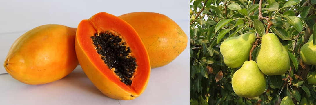 These 4 fruits will provide relief from constipation, stomach ache, gas, and indigestion.