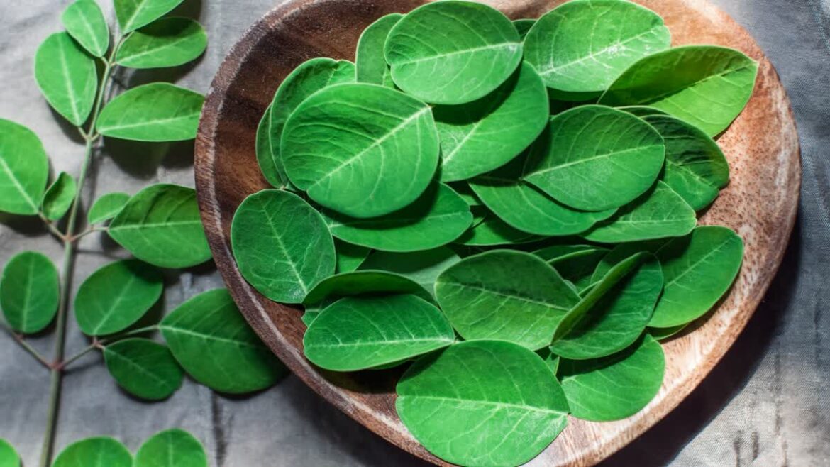 Vitamin A and Vitamin C deficiency can be helped by Moringa leaves.