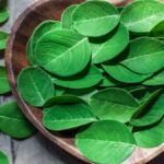 ভিটামিন a ভিটামিন c এর অভাব দূর করতে সাহায্য করতে পারে; এই সবুজ পাতা একটি আশীর্বাদ।