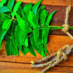 এই প্রাকৃতিক প্রতিকারটি কোনো দামী ওষুধ বা পণ্য নয়, তবুও এটি দাঁতের ব্যথার জন্য একটি মহৌষধ।