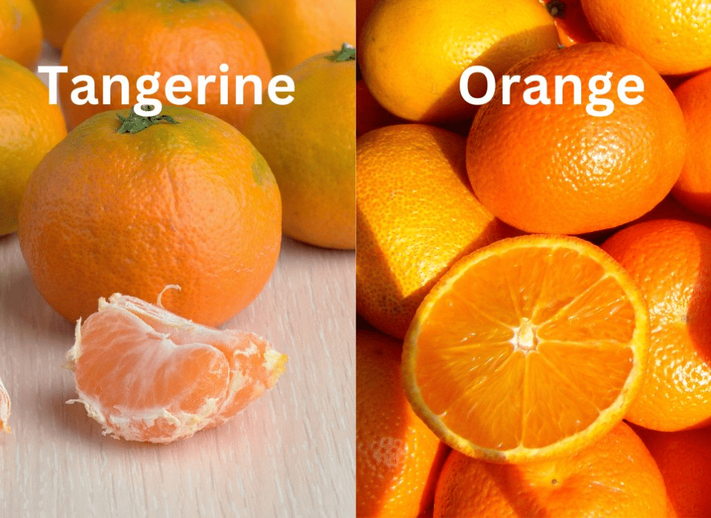 Orange or tangerine: Find out which winter fruit has more nutritional value.