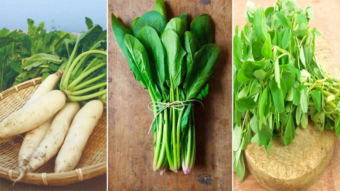 Know the benefits of eating green vegetables in winter, you will get relief from serious diseases