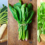 জানুন শীতকালে সবুজ শাকসবজি খাওয়ার উপকারিতা, পাবেন গুরুতর রোগ থেকে মুক্তি