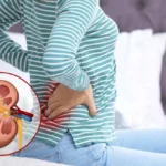 এগুলো হলো সেই অলৌকিক পানীয় যা কিডনিকে সুস্থ রাখে, নিয়মিত পান করলে কিডনিতে পাথর থাকবে দূরে