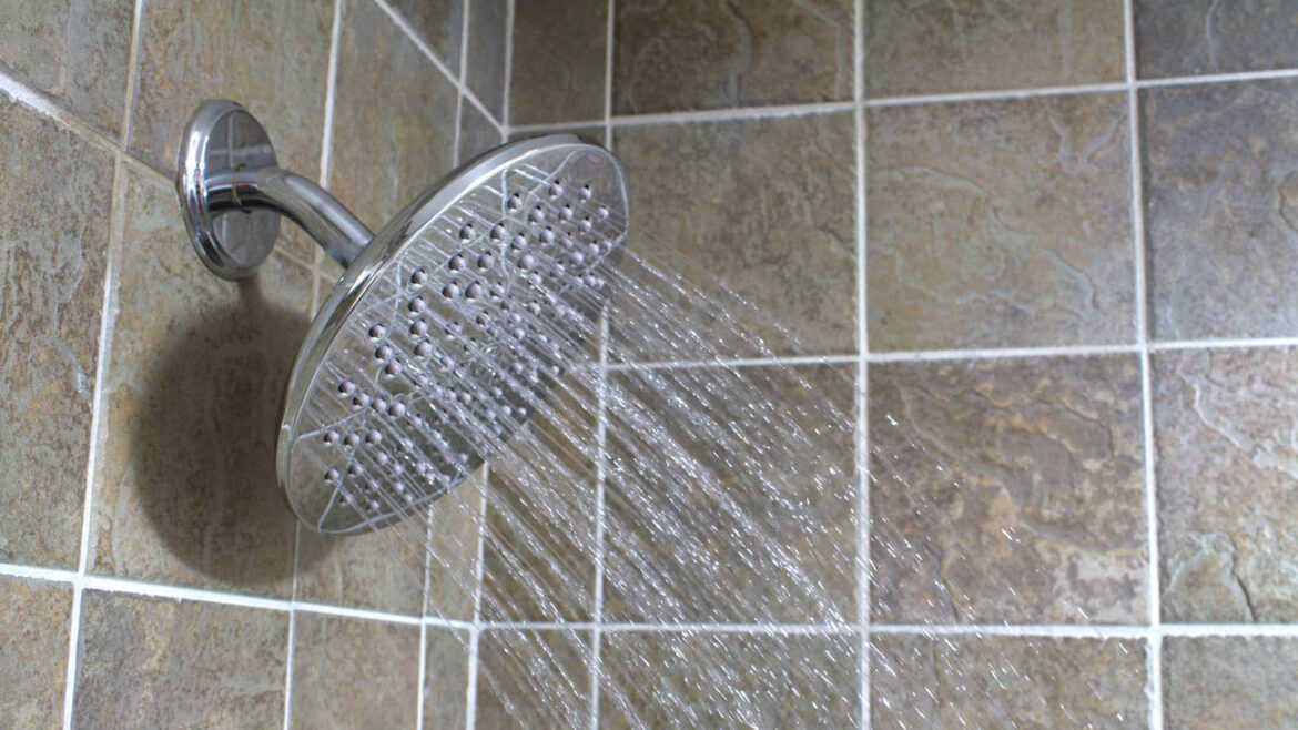 Shower heads have more bacteria than toilet seats, find out