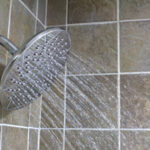 টয়লেট সিটের চেয়ে শাওয়ার হেডে বেশি ব্যাকটেরিয়া থাকে, যা বিভিন্ন রোগের কারণ হতে পারে, জানুন