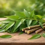 ১৫ দিন ধরে প্রতিদিন যদি নিম পাতা খান, তাহলে আপনার শরীরে এই জাদুকরী অলৌকিক ঘটনা ঘটবে।