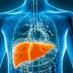 মদ্যপান না করা সত্ত্বেও লিভারের স্বাস্থ্যের অবনতি ঘটছে কেন? জানুন