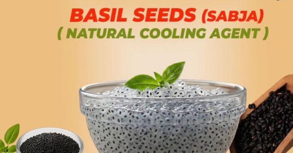 সবজা সিড বা তুলসির বীজ আসলে কি, এই গরমে কি ভাবে খেলে পাবেন উপকার! জানুন