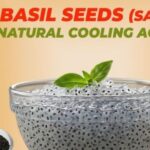 সবজা সিড বা তুলসির বীজ আসলে কি, এই গরমে কি ভাবে খেলে পাবেন উপকার! জানুন