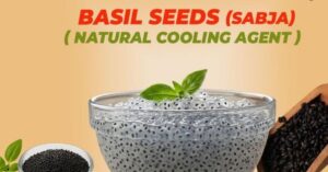 সবজা সিড বা তুলসির বীজ আসলে কি, এই গরমে কি ভাবে খেলে পাবেন উপকার! জানুন